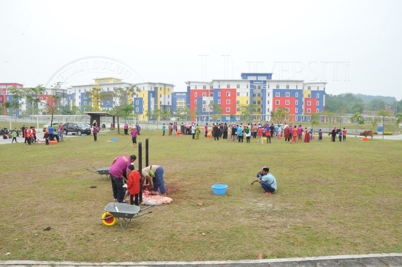 PRO15 150 KORBAN HAS 6862